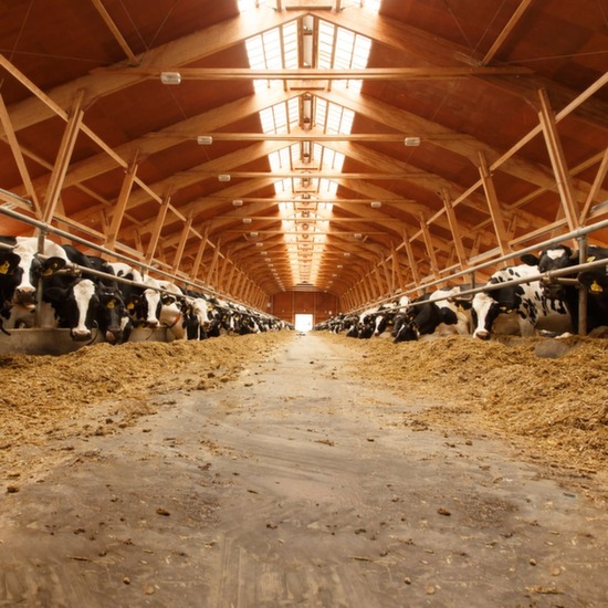 Fans for livestock ventilation