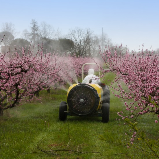 Fans and clutches for sprayers