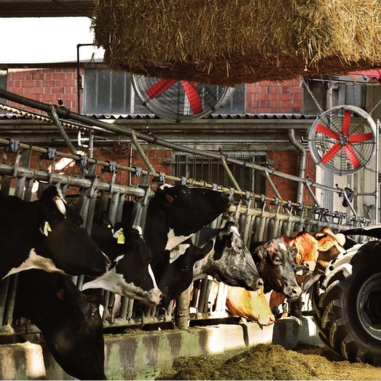 Fans for the ventilation of barns