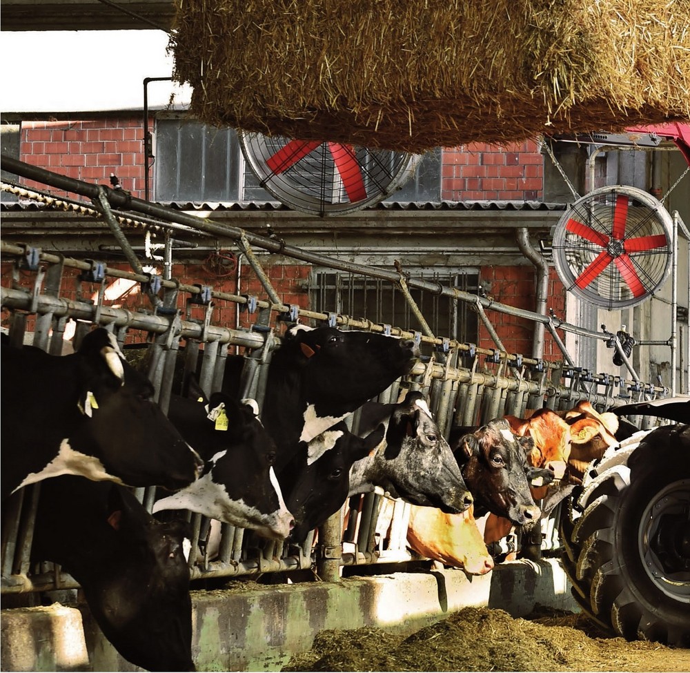 FOR THE WELL-BEING OF YOUR LIVESTOCK, CHOOSE HW VENTILATION